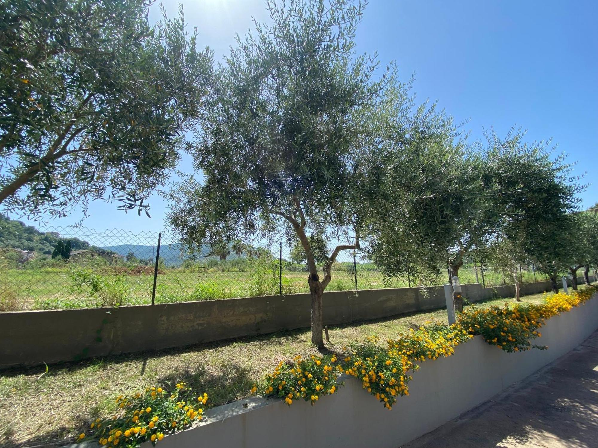 Bed and Breakfast Miro' Agropoli Exterior foto