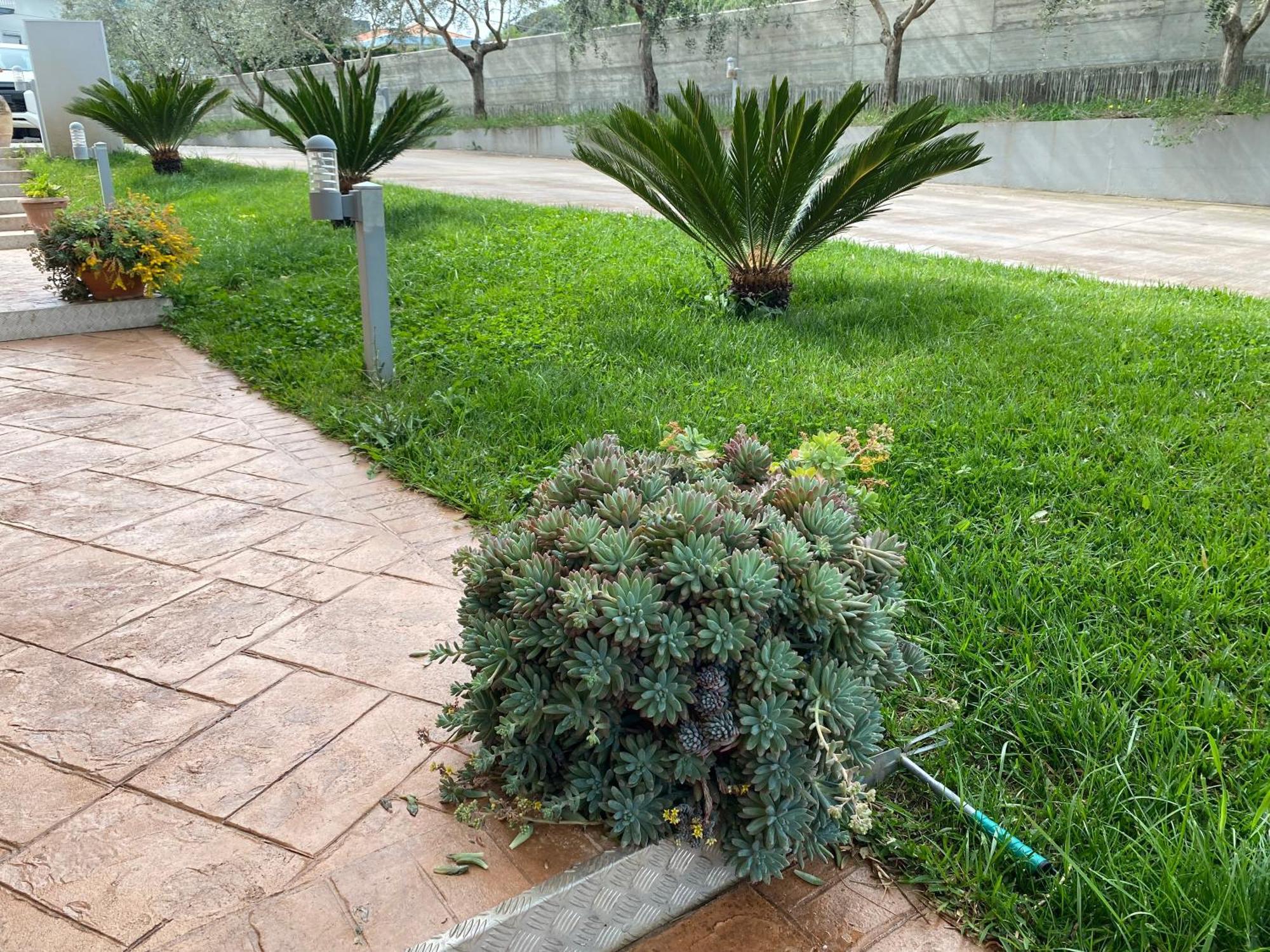 Bed and Breakfast Miro' Agropoli Exterior foto